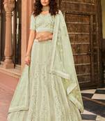 Light-green thread, zari, sequins, embroidered organza Semi Stitched Lehenga
