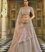 Light-pink sequins, dori, zarkan, zari, thread, embroidered organza Semi Stitched Lehenga