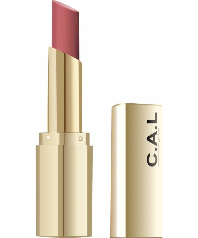 Intense soft Matte Mute Nude Lipstick