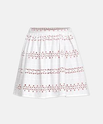 Vabble schiffli embroidery girl skirt 1