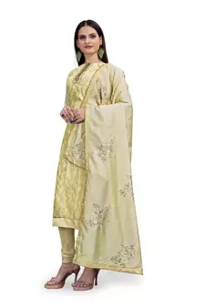 Beige sequins chanderi salwar