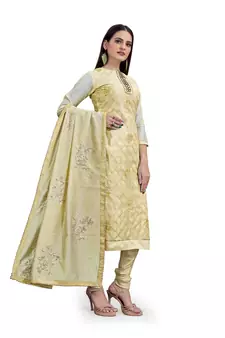 Beige sequins chanderi salwar