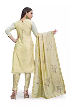 Beige sequins chanderi salwar
