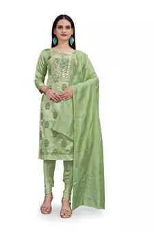 Light-green sequins chanderi salwar
