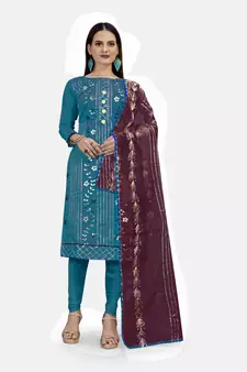 Blue embroidered chanderi salwar