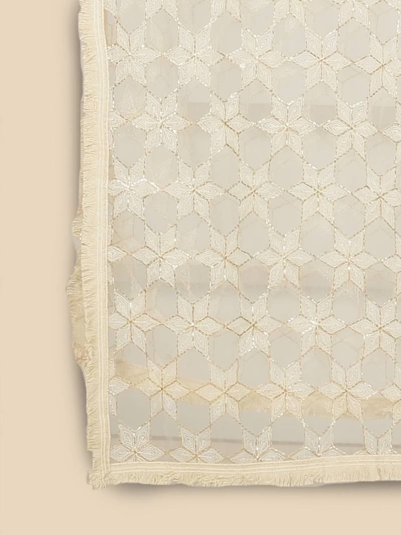 White Net Dupatta With Embellishments And Zari Work
