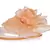 Clear Flower Jelly Flats in Beige