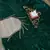 green emboroideri velvet saree