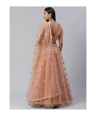 PeachColoured and SilverToned Embroidered Semi stitched Lehenga and Unstitched Blouse with Dupatta 2
