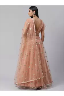 PeachColoured and SilverToned Embroidered Semi stitched Lehenga and Unstitched Blouse with Dupatta