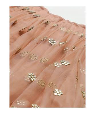 PeachColoured and SilverToned Embroidered Semi stitched Lehenga and Unstitched Blouse with Dupatta 3