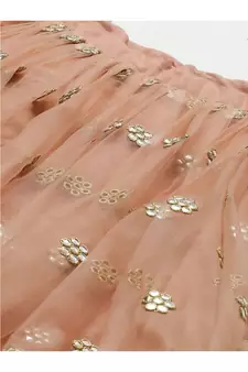 PeachColoured and SilverToned Embroidered Semi stitched Lehenga and Unstitched Blouse with Dupatta