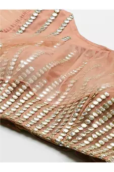 PeachColoured and SilverToned Embroidered Semi stitched Lehenga and Unstitched Blouse with Dupatta