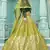 Floracance Green Gota Patti embroidered georgette semi stitched lehenga